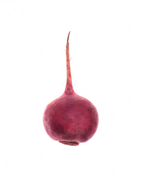 Eggplant