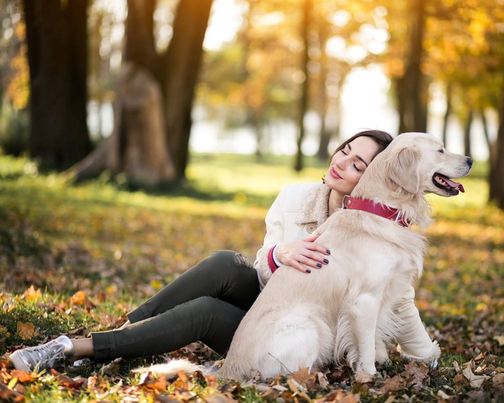 The Standard Lorem Ipsum