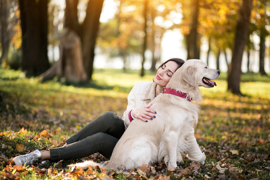 Shedding in dogs